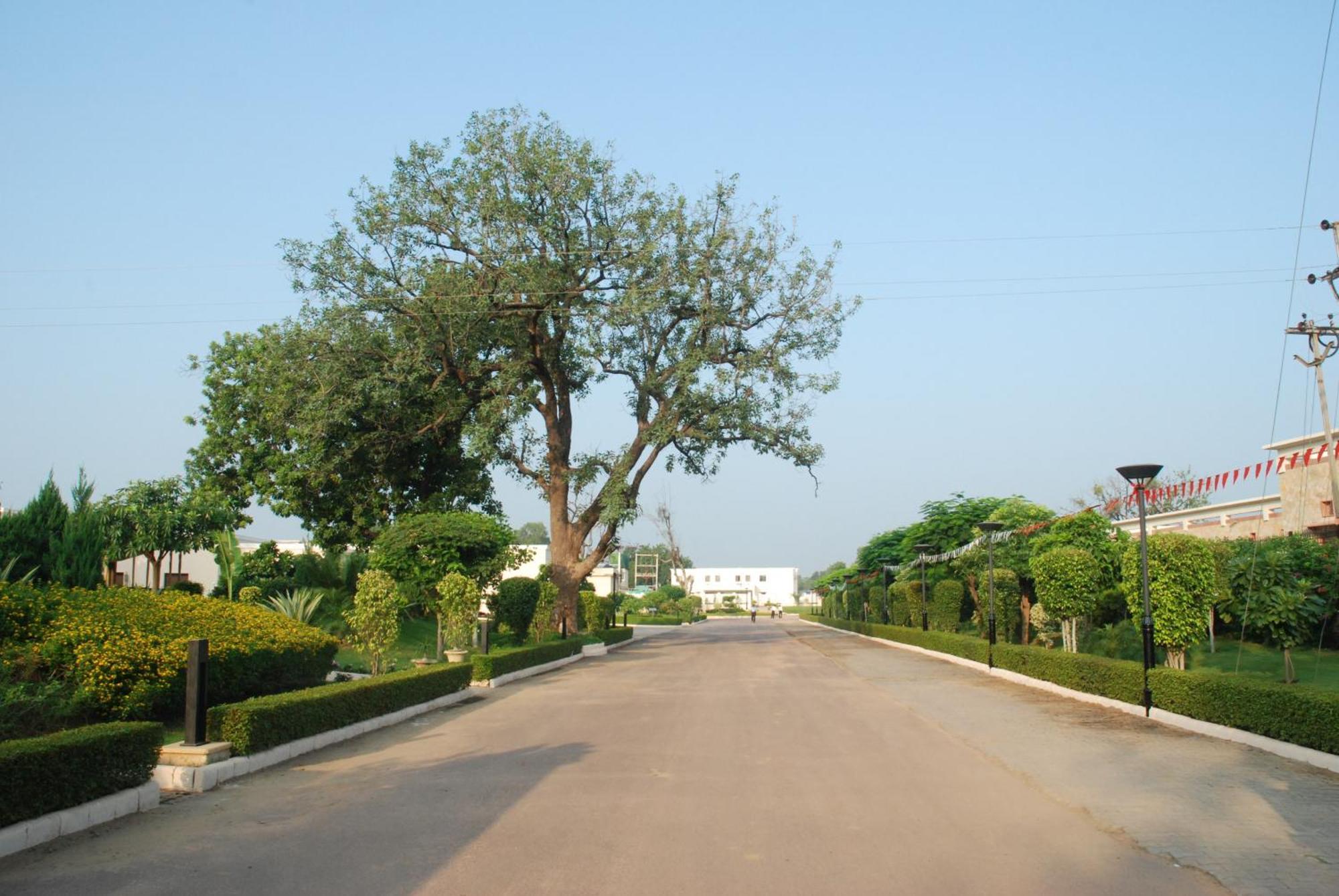The Lalit Temple View Hotel Khajuraho Exterior photo